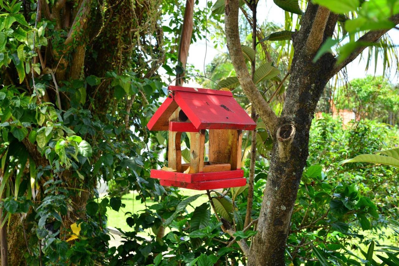 Pousada Arquipelago Hotel Florianópolis Eksteriør billede